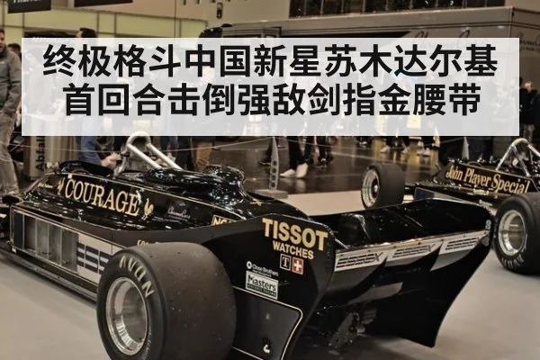终极格斗中国新星苏木达尔基首回合击倒强敌剑指金腰带